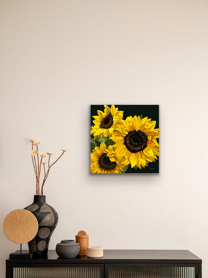 Sunshine - Fine Art Canvas Prints