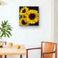 Sunshine - Fine Art Canvas Prints