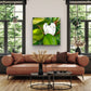 Teddy Bear Magnolia - Fine Art Canvas Prints