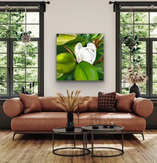 Teddy Bear Magnolia - Fine Art Canvas Prints