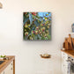 Gumnuts - Fine Art Canvas Prints