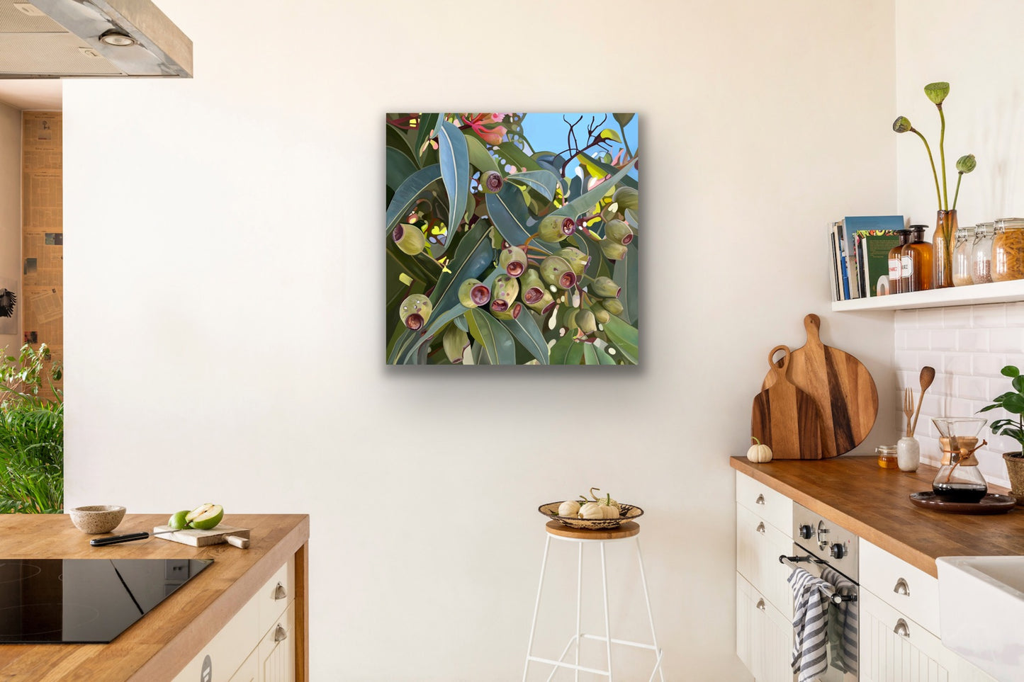 Gumnuts - Fine Art Canvas Prints